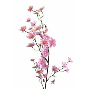 Rózsaszín tavaszi ág kép