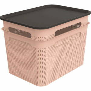 Világos rózsaszín fedeles műanyag tárolódoboz szett 2 db-os 26, 5x36, 5x26 cm Brisen – Rotho kép