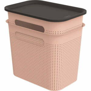 Világos rózsaszín fedeles műanyag tárolódoboz szett 2 db-os 18, 5x27x26 cm Brisen – Rotho kép