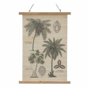 Faliszőnyeg 50x70 cm Palm – Ixia kép