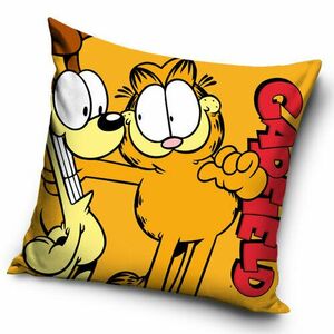 Garfield és barátja, Odie , 40 x 40 cm kép