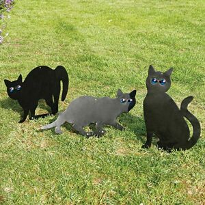Fekete macska falióra kép