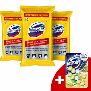 Domestos higiénikus Törlőkendő - Citrom 3x100db + Ajándék Domestos WC rúd kép