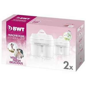 Bwt Vízszűrő filter longlife 2 db-os 814132 kép