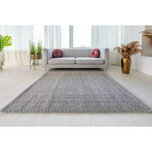 Elena Luxury Shaggy (Light Gray) álompuha szőnyeg 200x280cm Világosszürke kép