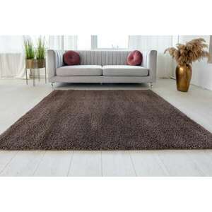 Elena Luxury Shaggy (Puder Brown) álompuha szőnyeg 160x220cm Barna kép