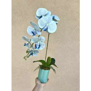 Kék orchidea dekor kép