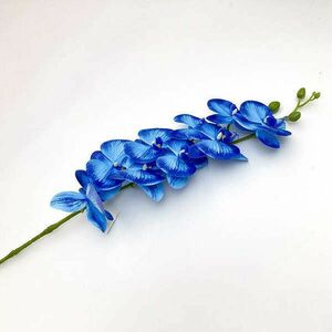 Kék cirmos orchidea 90 cm kép