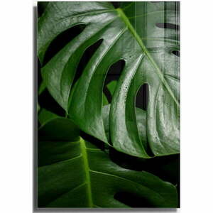 Üveg kép 70x100 cm Monstera – Wallity kép