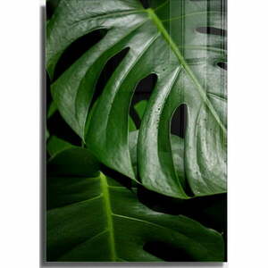 Üveg kép 50x70 cm Monstera – Wallity kép