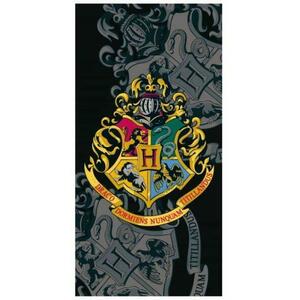 Harry Potter (HP-8268T) kép