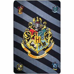 Harry Potter takaró, 100 x 150 cm kép