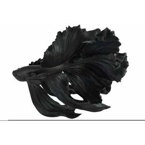 CROWNTAIL fekete 3d hal dekoráció 65cm kép