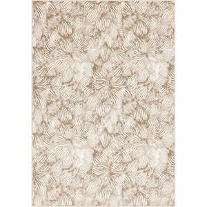 Bézs szőnyeg 160x230 cm Welio Dark Beige – FD kép