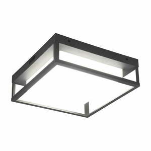 LED fali kültéri lámpa (magasság 10 cm) Witham – Trio kép