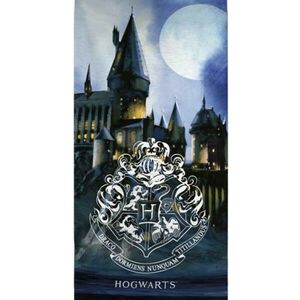 Harry Potter Hogwarts (AYM074765) kép