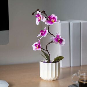 Orchidea Műnövény kép