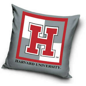 Harvard párnahuzat 40*40 cm kép