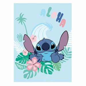 Disney Lilo és Stitch, A csillagkutya Aloha coral fleece takaró 110x150cm kép