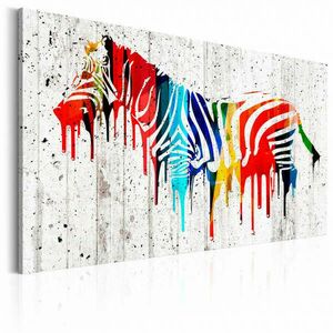 Színes Zebra 120x80 - vászonkép kép