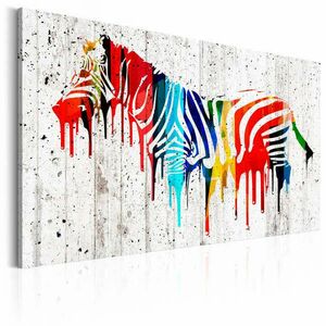 Színes Zebra 90x60 - vászonkép kép