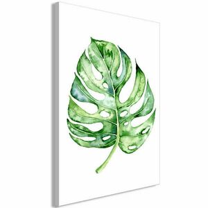 Akvarell Monstera (1 rész) Függőleges 80x120 - vászonkép kép