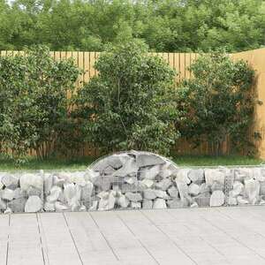 vidaXL 50 db íves horganyzott vas gabion kosár 200x30x40/60 cm kép