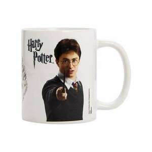 Cana Harry Potter pálca, 330ml kép