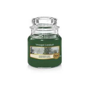 Yankee Candle Evergreen Mist Classic Kicsi gyertya (34693) (34693) kép