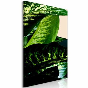 Dieffenbachia (1 rész) Függőleges 60x90 - vászonkép kép