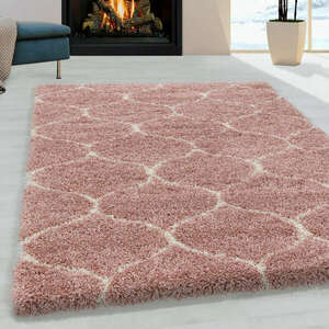 SALSA ROSE 160 X 230 kép