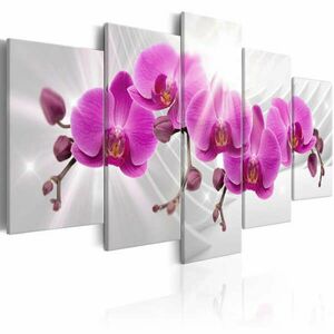 Absztrakt kert: rózsaszín orchideák 200x100 - vászonkép kép