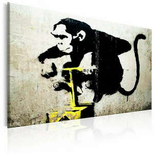 Monkey Detonator, Banksy 60x40 - vászonkép kép