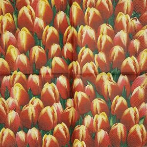 Szalvéta, tulipán, 25x25 cm (3) kép