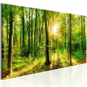 Green Magic 135x45 - vászonkép kép