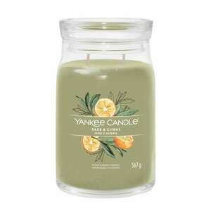 Yankee Candle Signature Sage & Citrus Illatgyertya 567g (1629961E) kép