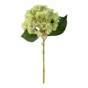 Művirág (magasság 36 cm) Hydrangea – Bloomingville kép