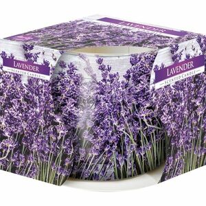 Lavender illatgyertya üvegpohárban, 100 g, 7, 2 cm kép