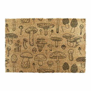 Kókuszrost lábtörlő 60x90 cm Mushrooms – Artsy Doormats kép