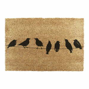 Kókuszrost lábtörlő 40x60 cm Birds On a Wire – Artsy Doormats kép