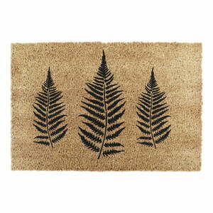 Kókuszrost lábtörlő 40x60 cm Fern Leaf – Artsy Doormats kép