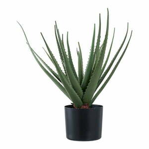 Műnövény (magasság 51 cm) Aloe Vera – House Nordic kép