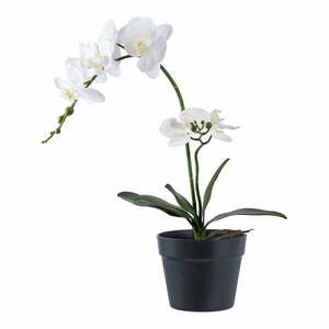 Művirág (magasság 47 cm) Orchid – House Nordic kép