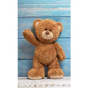 Plush Bear (CBX191333TNL) kép