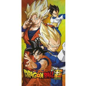 Dragon Ball (AYM074796) kép