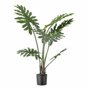 Művirág (magasság 84 cm) Philodendron – Bloomingville kép