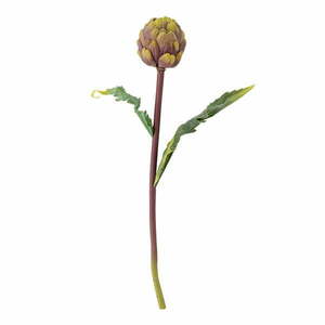 Művirág (magasság 54 cm) Protea – Bloomingville kép