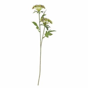 Műnövény (magasság 49 cm) Throatwort – Bloomingville kép