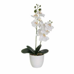 Művirág (magasság 39 cm) Orchid – Casa Selección kép