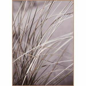 Keretezett poszter 50x70 cm Mellow Grasses 1 – Malerifabrikken kép